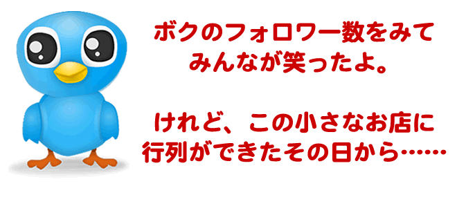 ツイッター・ビジネス活用・成功事例セミナーDVD
