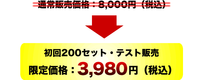 ツイッター・ビジネス活用・成功事例セミナーDVD：販売価格
